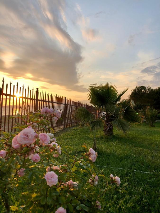 Injir Village Hotel Gudauta Ngoại thất bức ảnh