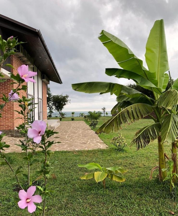 Injir Village Hotel Gudauta Ngoại thất bức ảnh